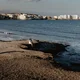 Krystian