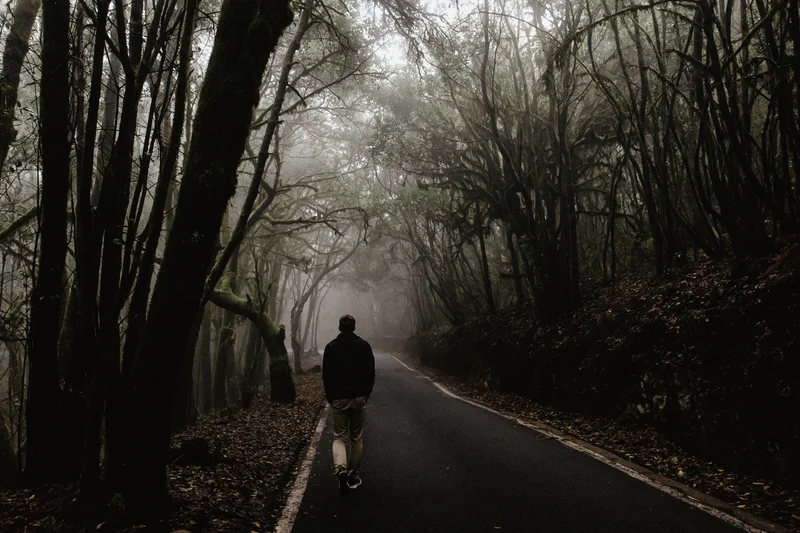 Magiczny las laurowy La Gomera spowity mgłą z sylwetką wędrówca na leśnej drodze