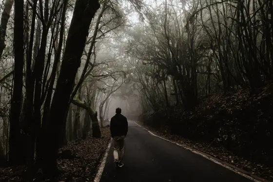 Magiczny las laurowy La Gomera spowity mgłą z sylwetką wędrówca na leśnej drodze