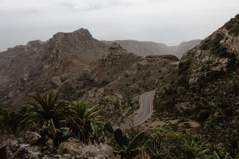 Górska droga na La Gomera wśród palm i skalistego krajobrazu wyspy kanaryjskiej