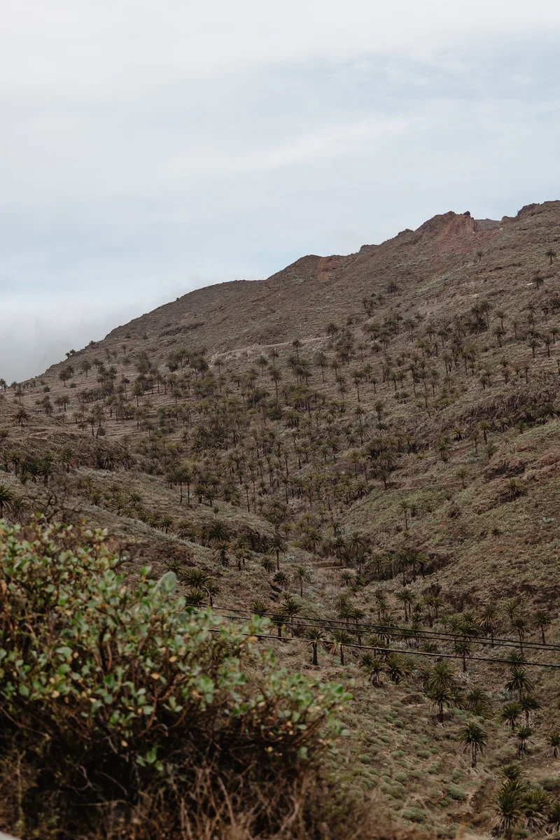 La Gomera Three Days Guide Sesja Zdjęciowa #129