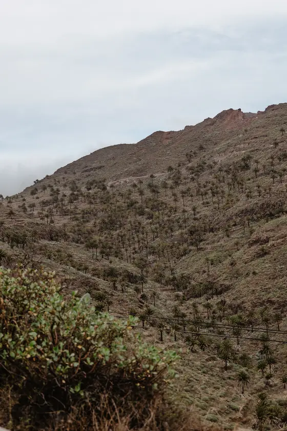 La Gomera Three Days Guide Sesja Zdjęciowa #129