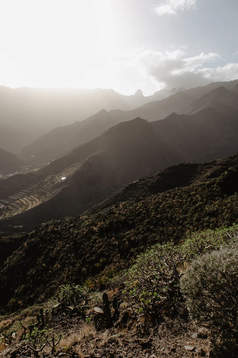 La Gomera Three Days Guide Sesja Zdjęciowa #26