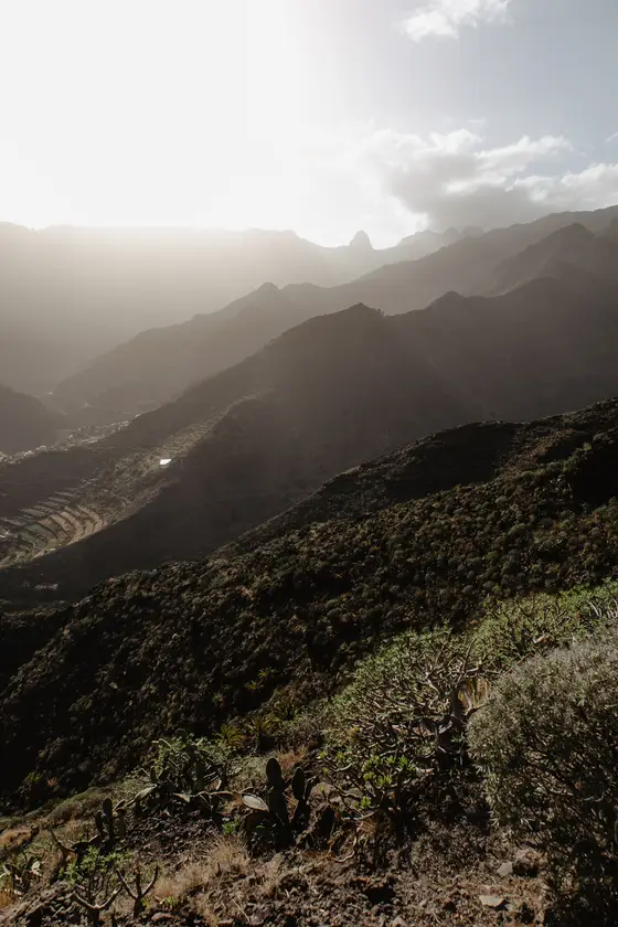La Gomera Three Days Guide Sesja Zdjęciowa #26