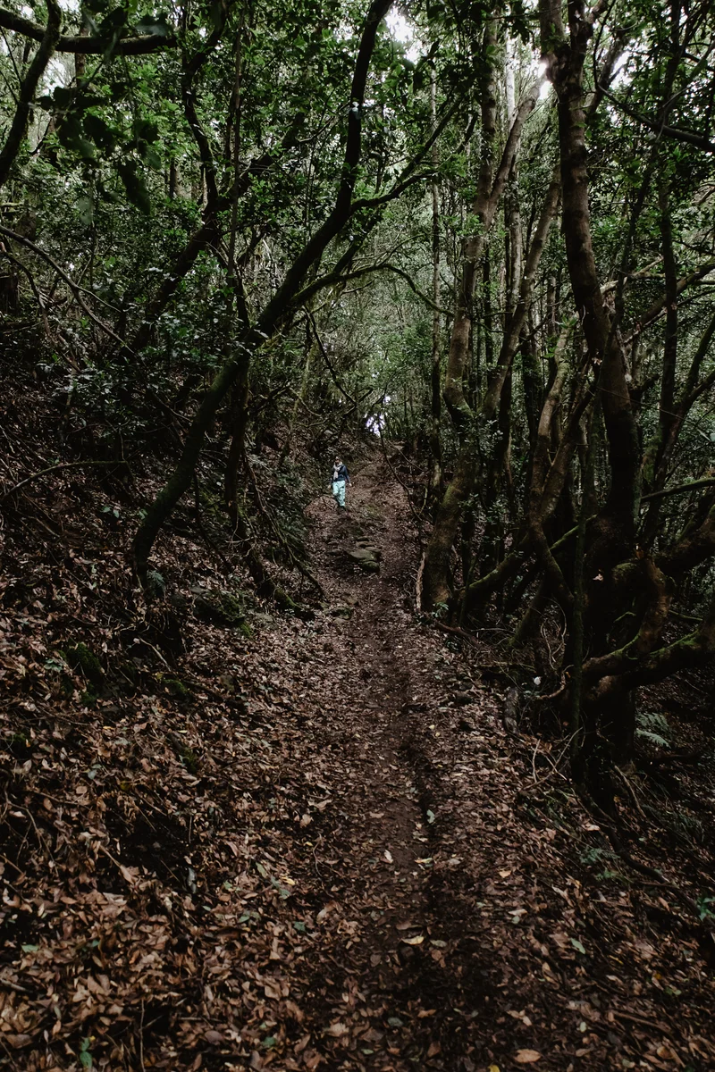 La Gomera Three Days Guide Sesja Zdjęciowa #38