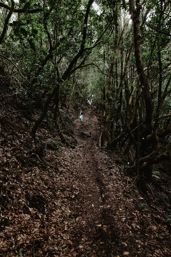 La Gomera Three Days Guide Sesja Zdjęciowa #38