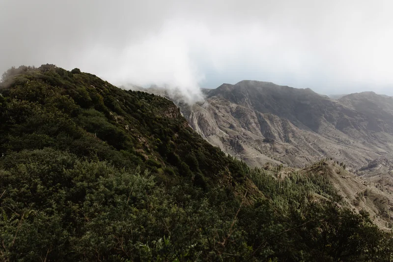 La Gomera Three Days Guide Sesja Zdjęciowa #45