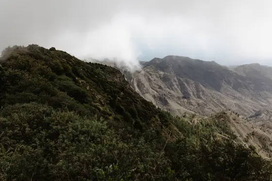 La Gomera Three Days Guide Sesja Zdjęciowa #45
