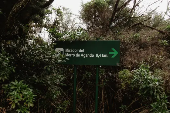 La Gomera Three Days Guide Sesja Zdjęciowa #50