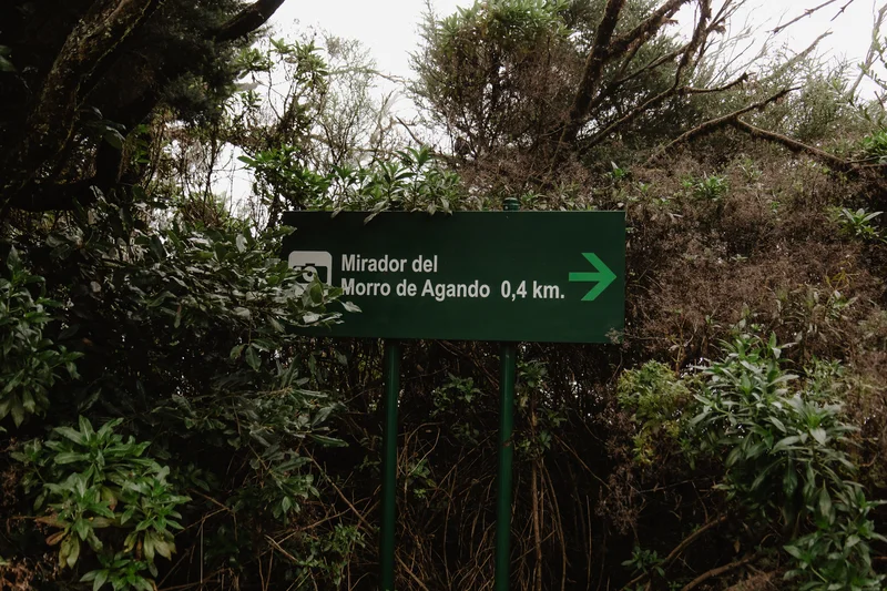 La Gomera Three Days Guide Sesja Zdjęciowa #50