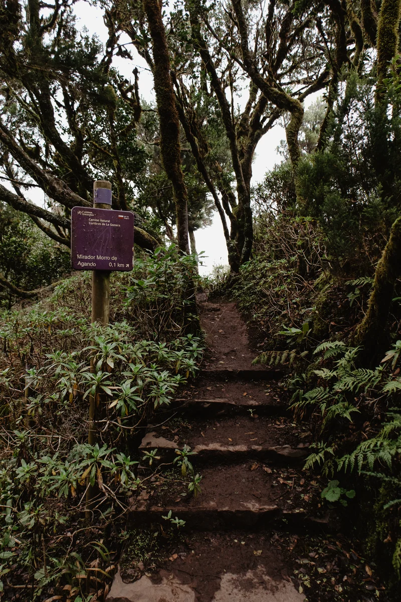 La Gomera Three Days Guide Sesja Zdjęciowa #57