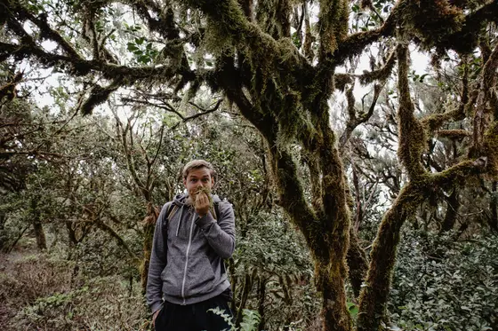 La Gomera Three Days Guide Sesja Zdjęciowa #58