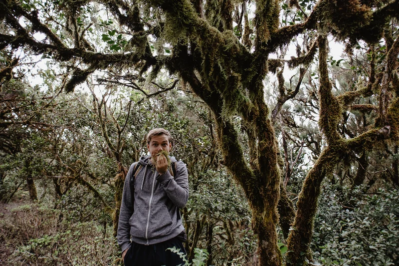 La Gomera Three Days Guide Sesja Zdjęciowa #58