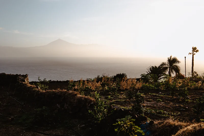 La Gomera Three Days Guide Sesja Zdjęciowa #75