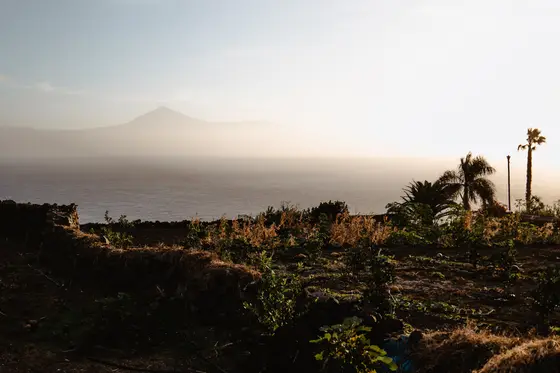 La Gomera Three Days Guide Sesja Zdjęciowa #75
