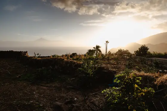 La Gomera Three Days Guide Sesja Zdjęciowa #77