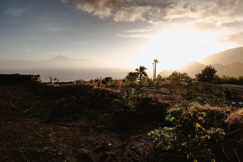 La Gomera Three Days Guide Sesja Zdjęciowa #77