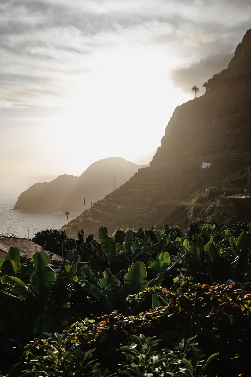 La Gomera Three Days Guide Sesja Zdjęciowa #86
