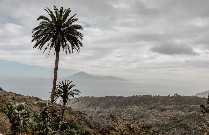 La Gomera Three Days Guide Sesja Zdjęciowa #96