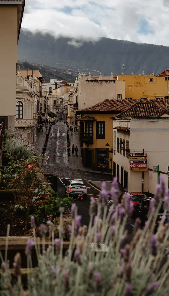 La Orotava private photo session in charming northern Tenerife town - Photo 13