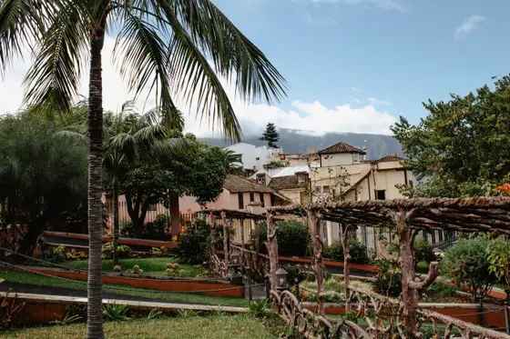 La Orotava private photo session in charming northern Tenerife town - Photo 35