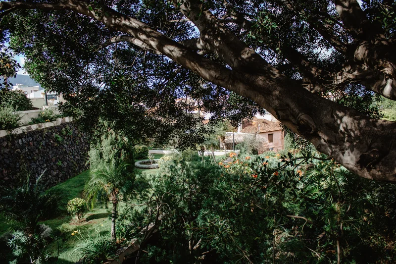La Orotava sesión fotográfica privada en encantador pueblo del norte de Tenerife - Foto 37