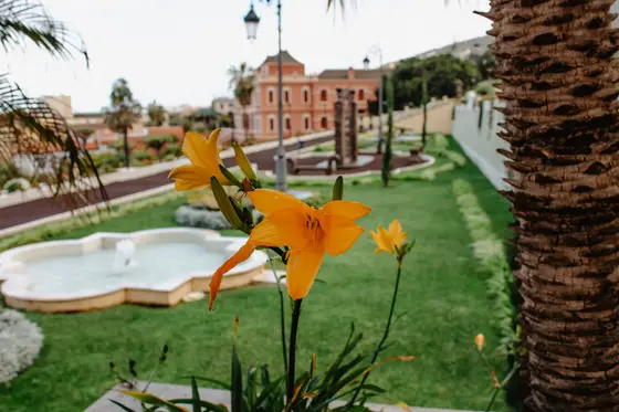 La Orotava private photo session in charming northern Tenerife town - Photo 50