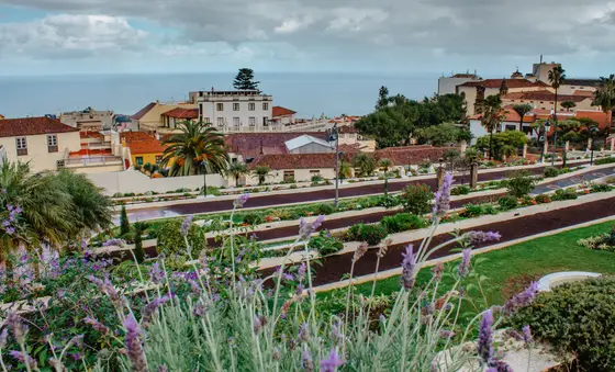 La Orotava private photo session in charming northern Tenerife town - Photo 52
