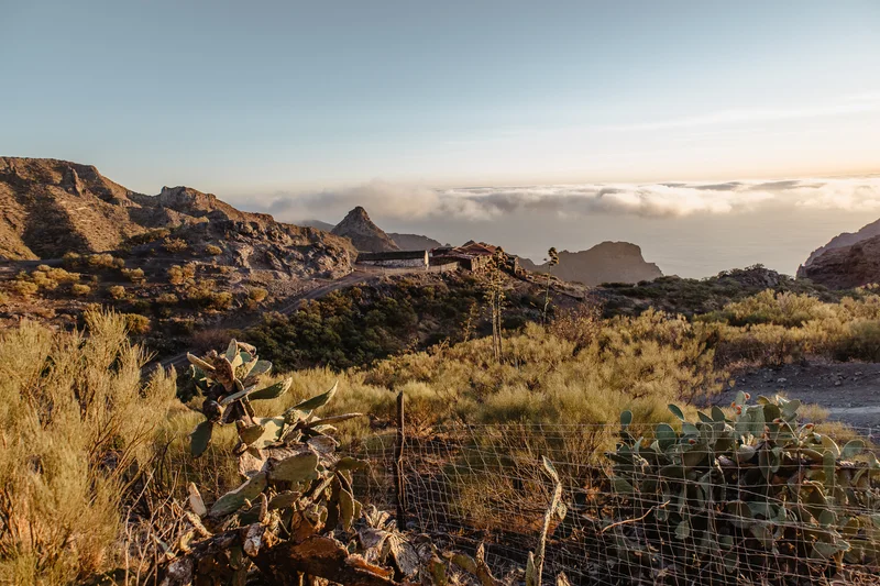 Masca wedding session mountain landscape golden hour with volcanic terrain and Canarian vegetation