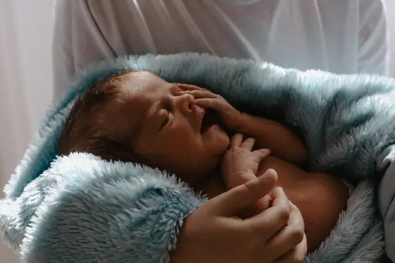 Newborn Home Session Photo Session #31