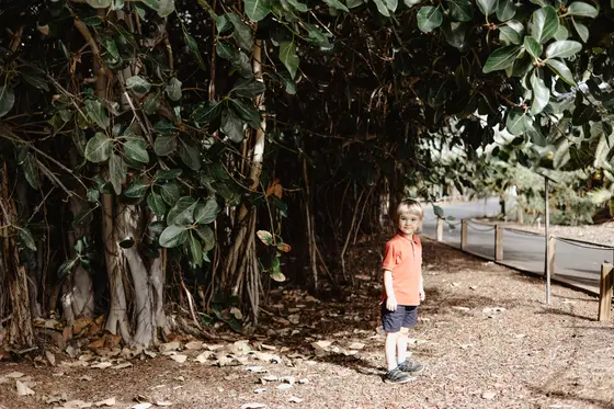 Palmetum Botanical Garden Family Sesión Fotográfica #16