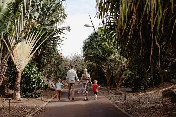 Palmetum Botanical Garden Family Sesión Fotográfica #23