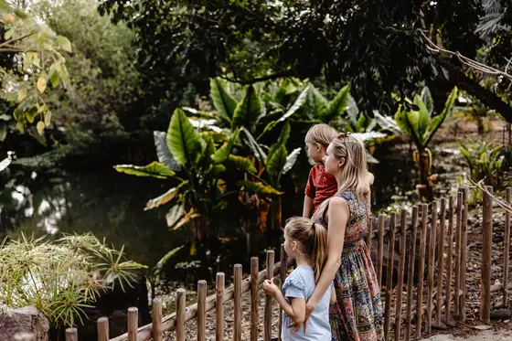 Palmetum Botanical Garden Family Sesión Fotográfica #43