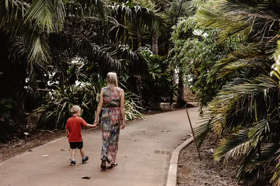 Palmetum Botanical Garden Family Sesión Fotográfica #54