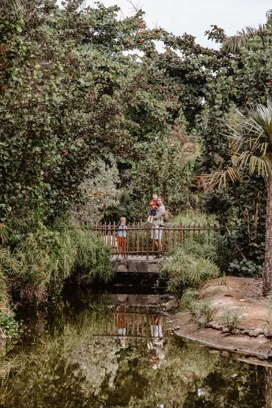 Palmetum Botanical Garden Family Sesión Fotográfica #63