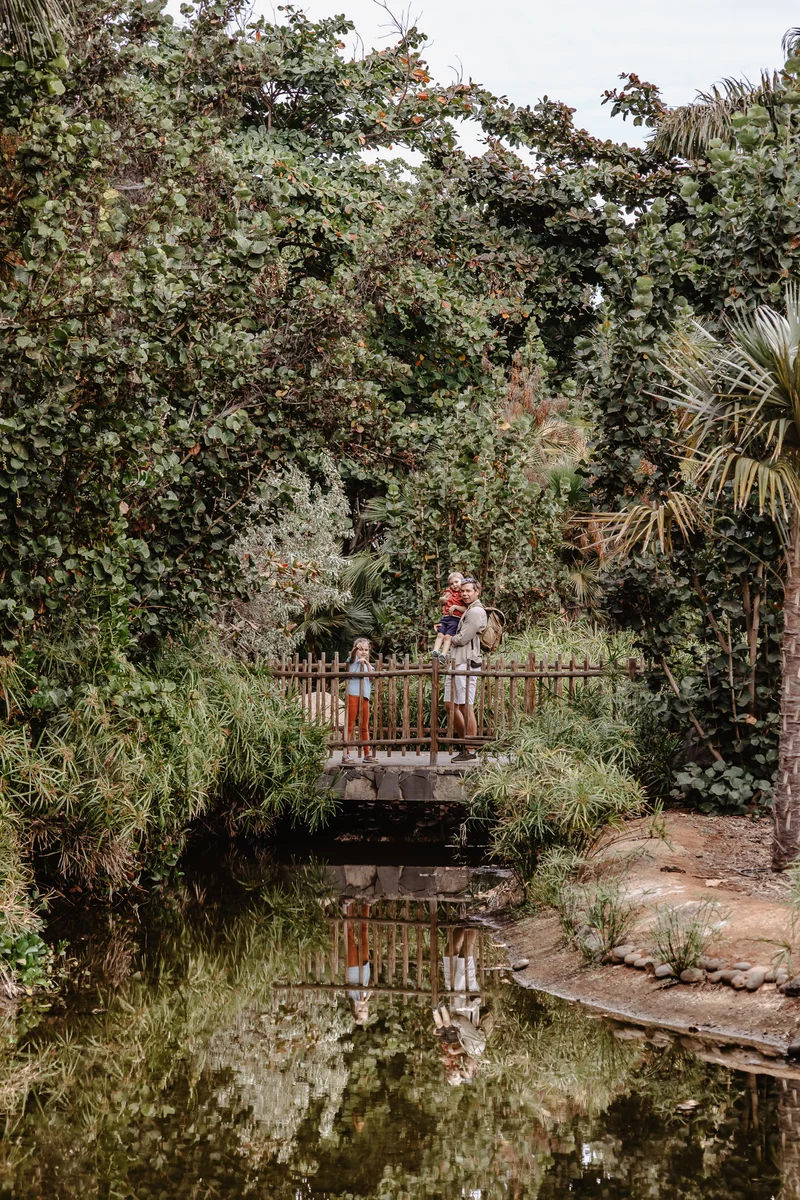 Palmetum Botanical Garden Family Sesión Fotográfica #63