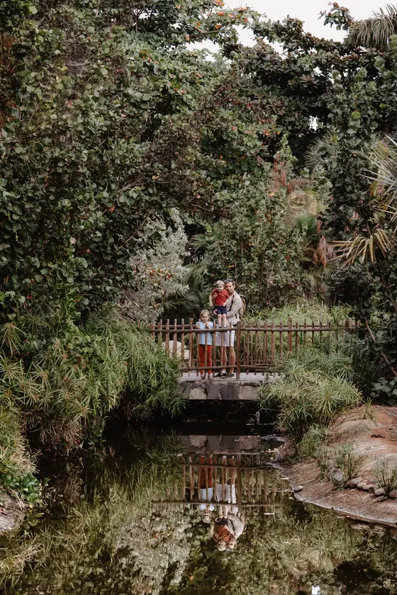 Palmetum Botanical Garden Family Sesión Fotográfica #65