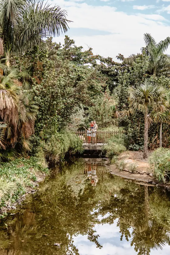 Palmetum Botanical Garden Family Sesión Fotográfica #69