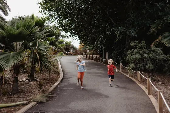 Niños corriendo por los senderos del Jardín Botánico Palmetum entre palmeras tropicales en Tenerife