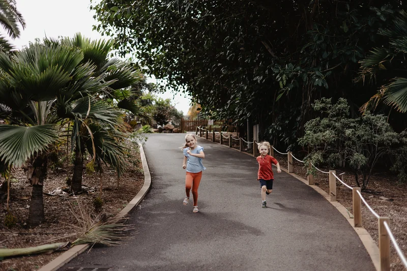 Niños corriendo por los senderos del Jardín Botánico Palmetum entre palmeras tropicales en Tenerife